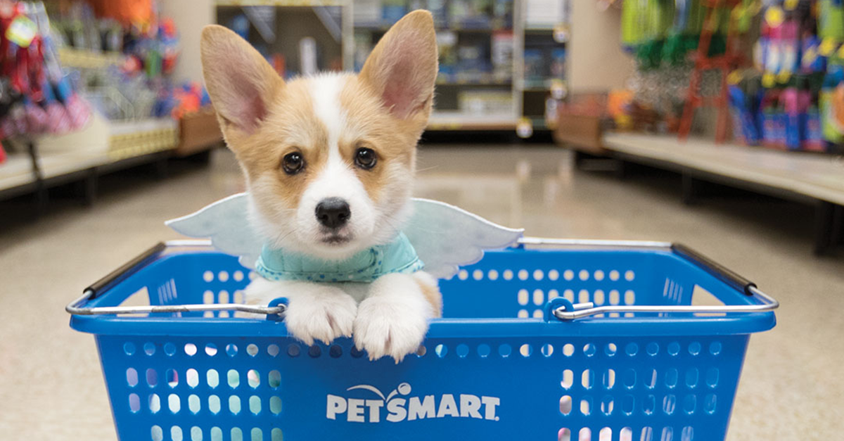 Does Petsmart Have A Puppy Package